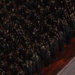 Βούρτσα Γενειάδας  H102 - Image 4