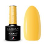 CLARESA Hybrid Varnish SUMMER STORIES 4 -5g