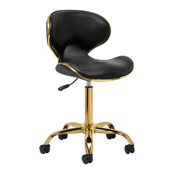 Gabbiano cosmetic stool Q-4599G black V2