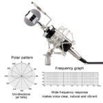 Επαγγελματικό Πυκνωτικό μικρόφωνο Huichang - Studio Microphone - Image 5