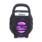 JI IW CS-13 φορητό ηχείο 25cm με USB - Portable speaker - Image 2