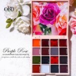 Gel Νυχιών Solid Nail Gel QBD 16 colors Painting Gel Soak-Off - Image 7